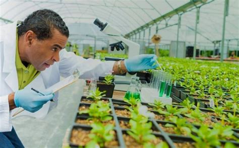 Agricultural Biotechnologies: Agro.